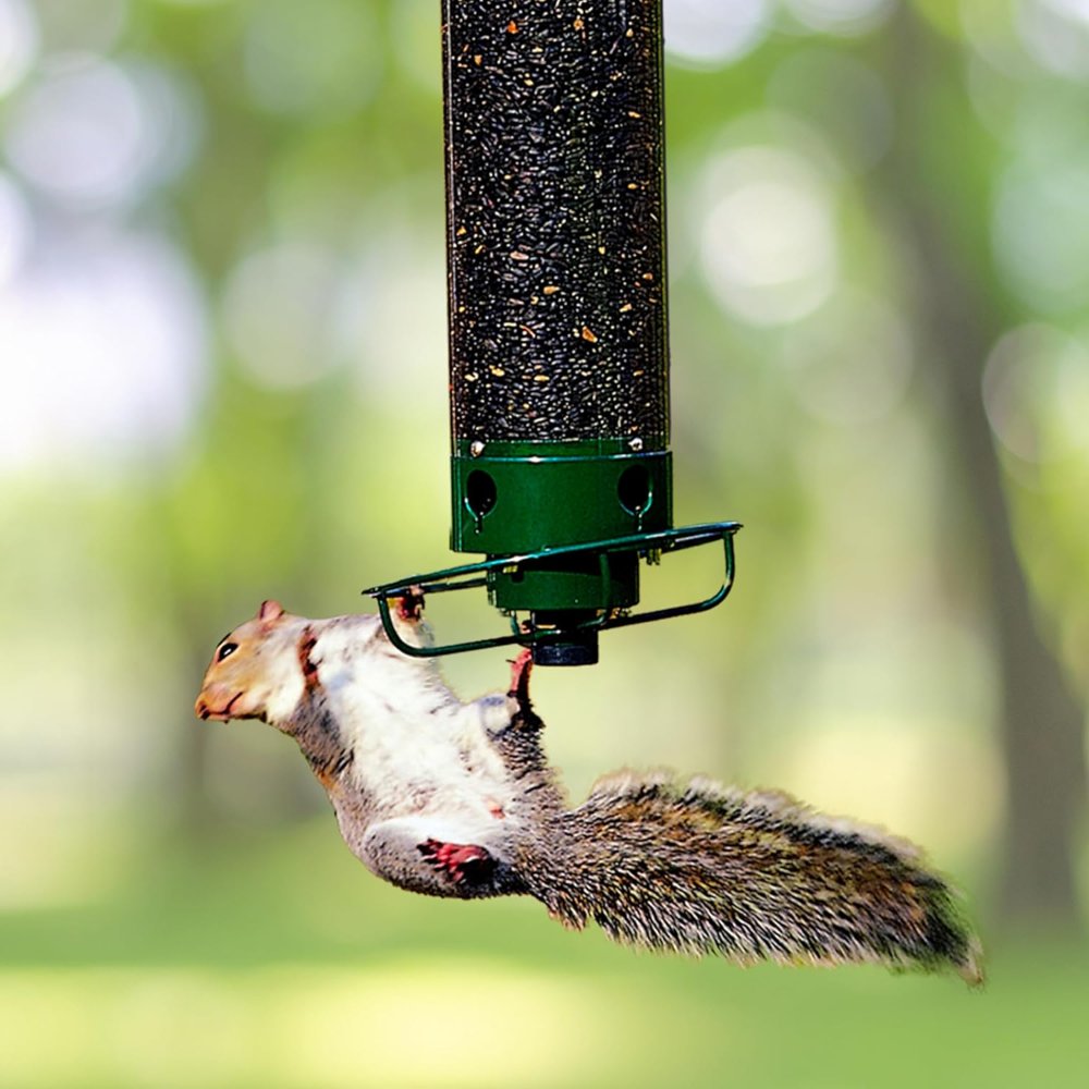 Eichhörnchensicheres Metall Vogelfutterhaus Hängend Hero